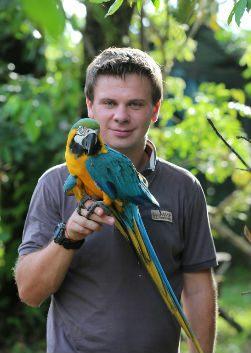 Дмитрий Комаров («Мир наизнанку») – биография ведущего, фото, рост и вес, личная жизнь, жена 2023