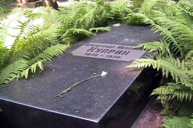 Александр Куприн - биография, личная жизнь, фото, книги, причина смерти и последние новости