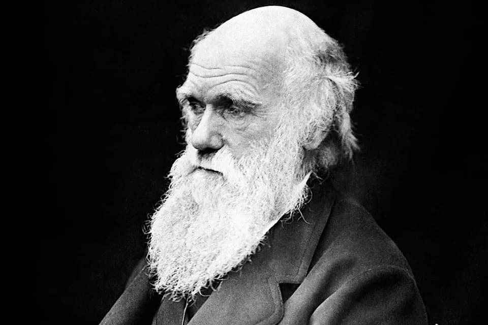 Чарльз Дарвин – биография, фото, личная жизнь, теория происхождения видов, эволюция