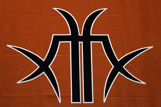 Логотип группы «The Matrixx»