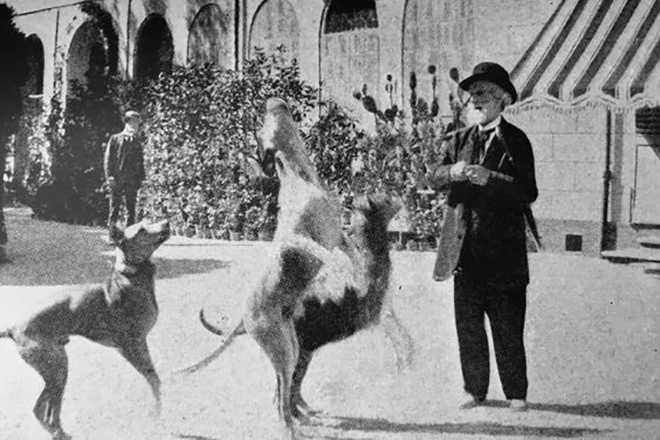 Джузеппе Верди и его собаки