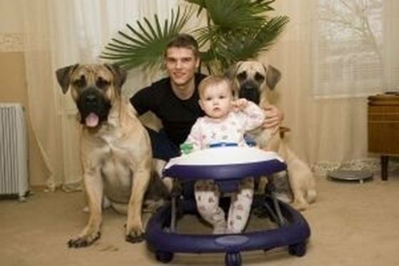 Собаки Игоря Денисова принадлежат к редкой породе «бурбуль»
