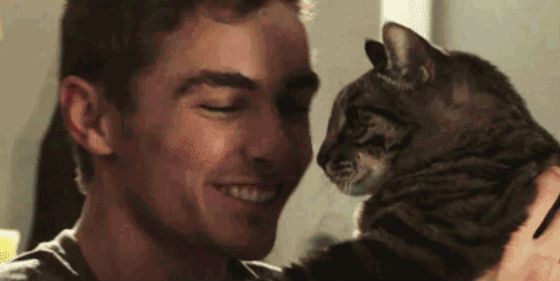 Дэйв Франко обожает кошек