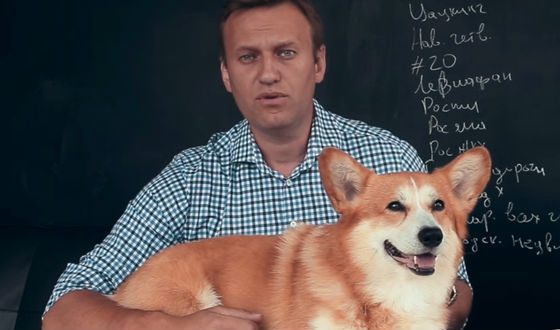 Навальный нашел частный самолет Шувалова