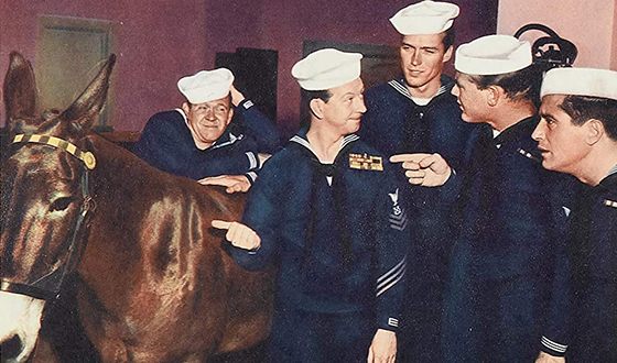 Клинт Иствуд в картине «Фрэнсис на флоте»