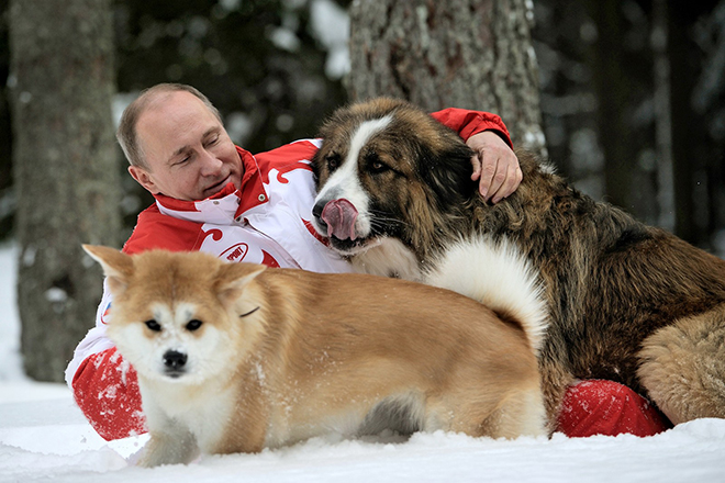 Владимир Путин с собаками