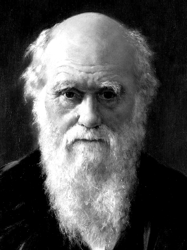 Чарльз Дарвин – биография, фото, личная жизнь, теория происхождения видов, эволюция i