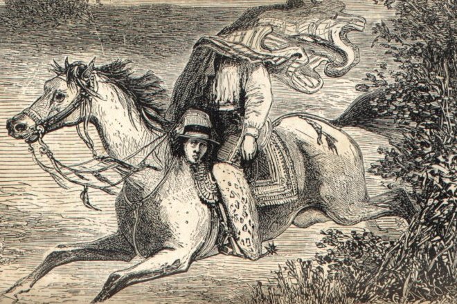 Иллюстрация к книге Томаса Майн Рида «Всадник без головы»