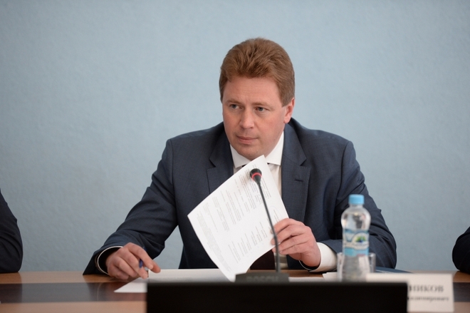 Политик Дмитрий Овсянников