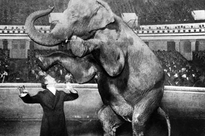 Гарри Гудини со слоном
