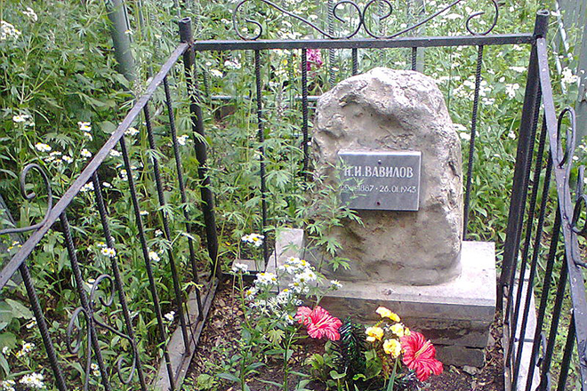 Могила Николая Вавилова
