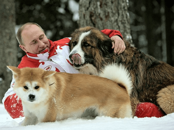 Владимир Путин с домашними питомцами
