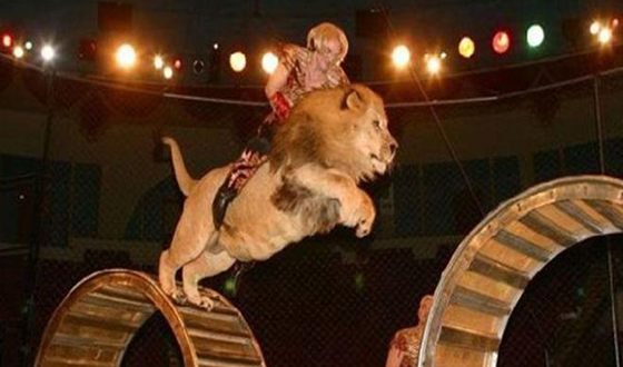 Аскольд Запашный и его прыжок на льве